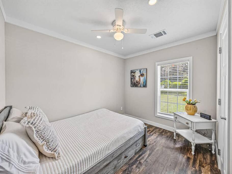 The Cozy Cabana Zephyrhills Exterior foto